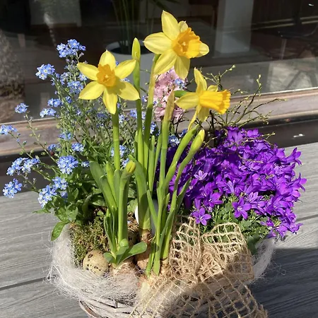 Appartement Haus-meeresglueck-seeteufel